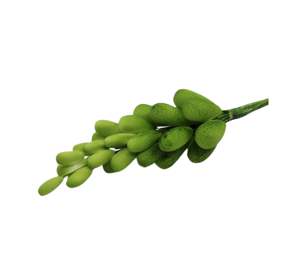 Edible Berry | 20pc Stem | Green