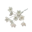 Edible Baby breath flower | Stem