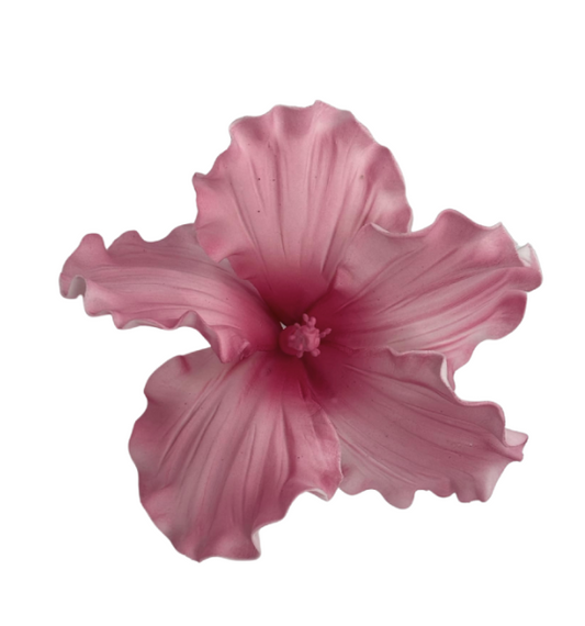 Edible Hibiscus flower | Large | Deep Pink