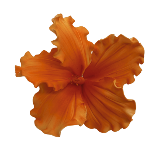 Edible Hibiscus flower | Large | Deep Orange