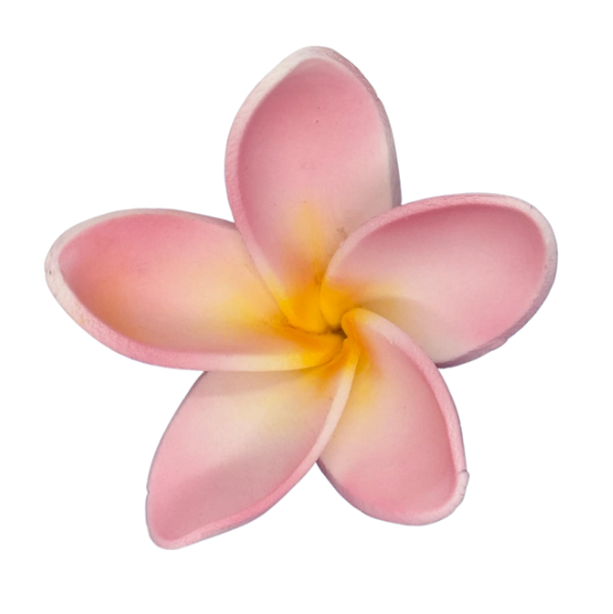 Edible Frangipani flower | Large | Pink + Yellow