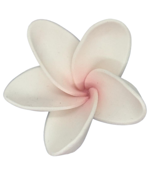 Edible Frangipani flower | Large | White + Pink