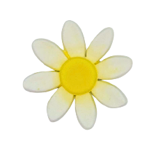 Edible Daisy flower | Medium | Yellow