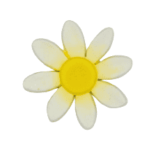 Edible Daisy flower | Small | Yellow