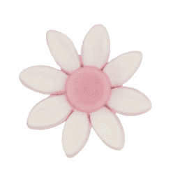 Edible Daisy flower