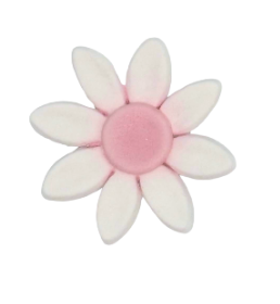 Edible Daisy flower | Large | Pink