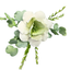 OPEN ROSE SAGE SPRAY