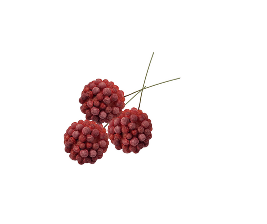 Red Native Berry - Edible