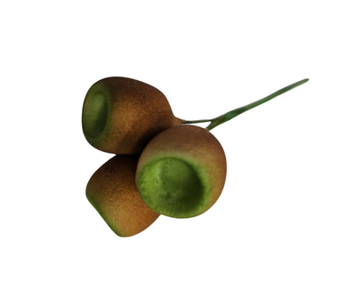 GUMNUTS BROWN 3 STEM