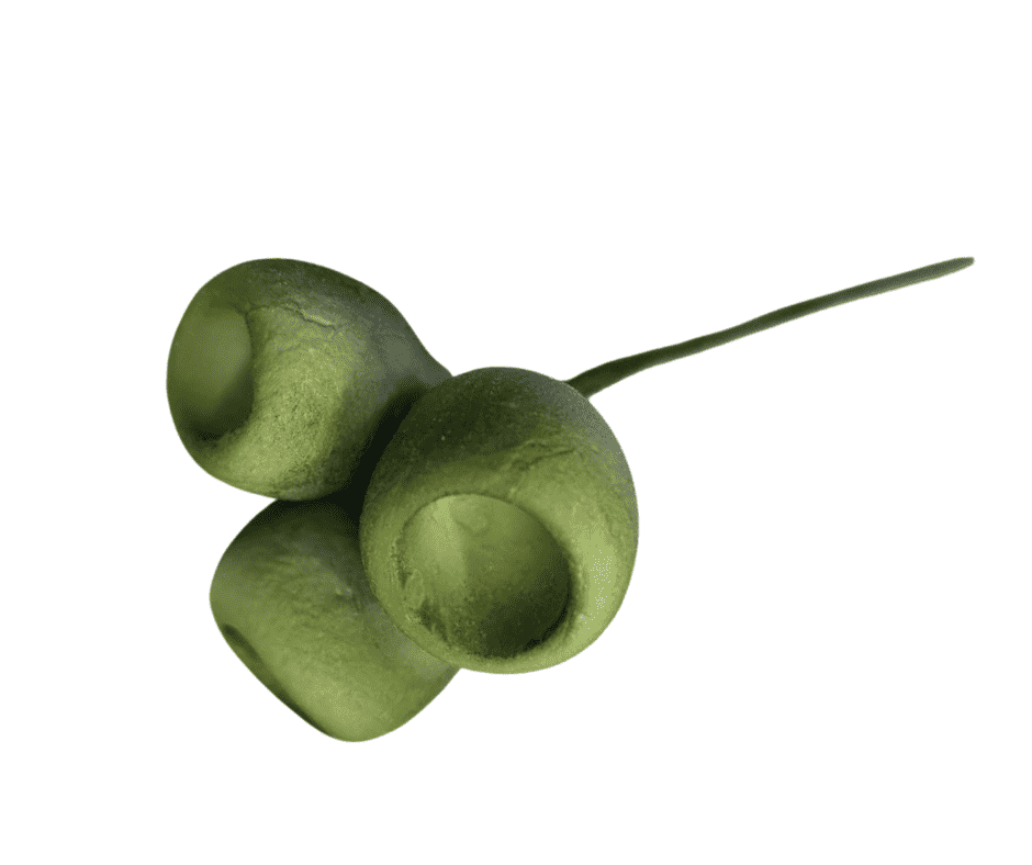 Gumnuts Green 3 Stem