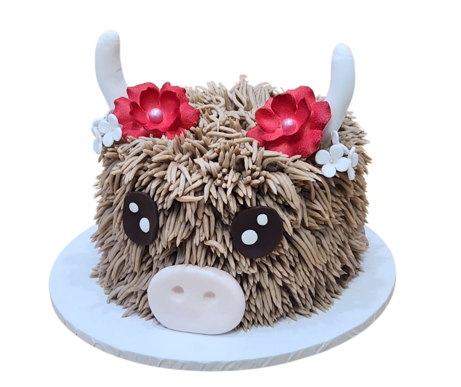 HIGHLAND COW CAKE CLASS (SAT 9AM 18TH OF APRIL)