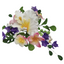 Edible Special Occasion Tropical Spray