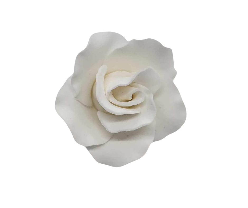 Edible Rose | Medium | White