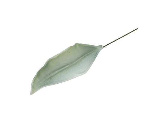 Edible Gum Leaf