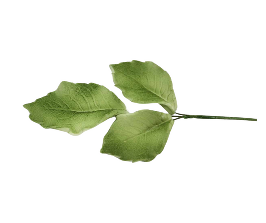 Edible Rose Leaf 3 Leaf stem