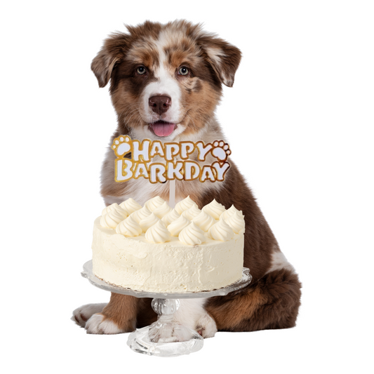 CAKE TOPPER HAPPY BARKDAY