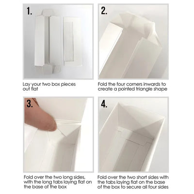 Box DISPLAY MACARON BOX  HOLDS 12