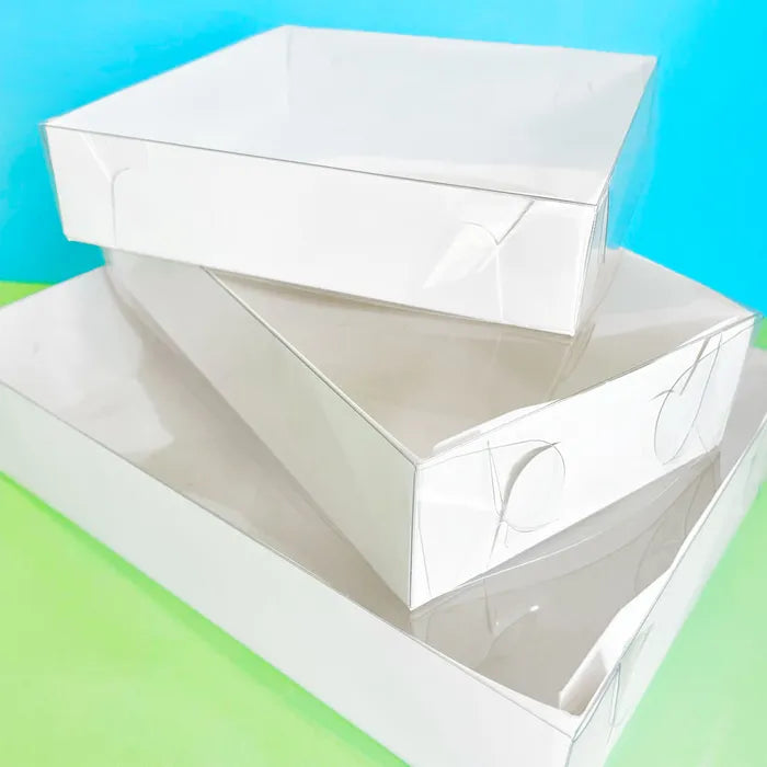 CLEAR LID COOKIE BOX | 22.5CM X 11.5CM X 4.5CM