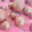GLITTER ROSE GOLD | DECO FOAM BALL TOPPER | 20 PC SET