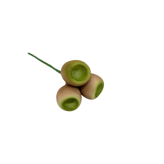 Edible Gum Nut | Stem | Brown