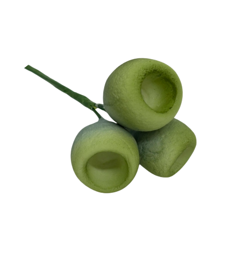 Edible Gum Nut | Stem | Green