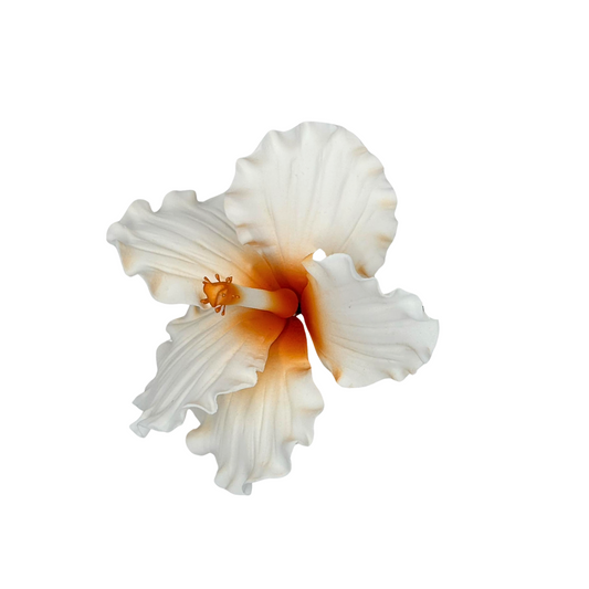 Edible Hibiscus flower | Medium | Orange