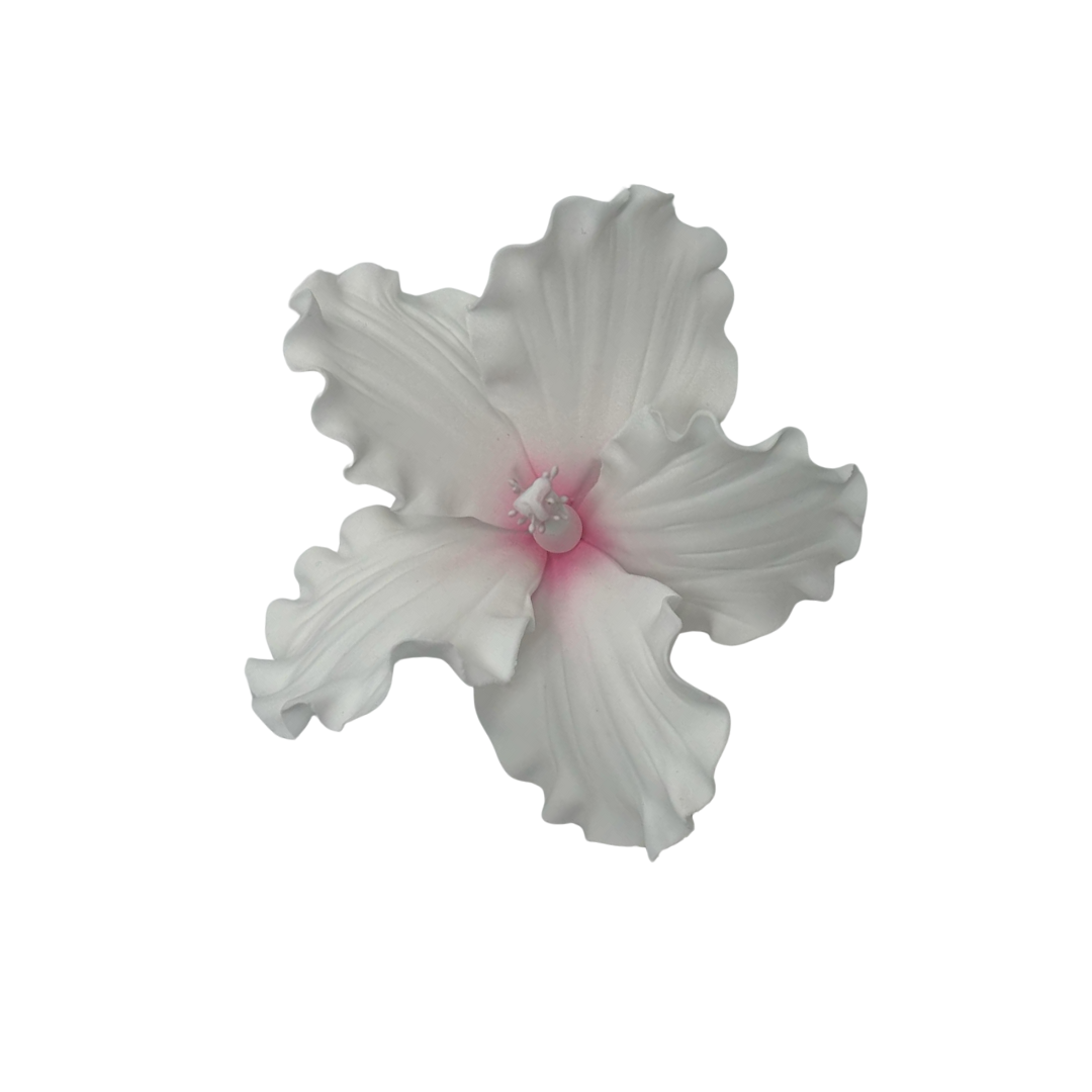 Edible Hibiscus flower | Medium | Pink