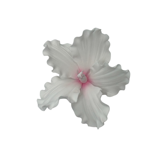 Edible Hibiscus flower | Medium | Pink