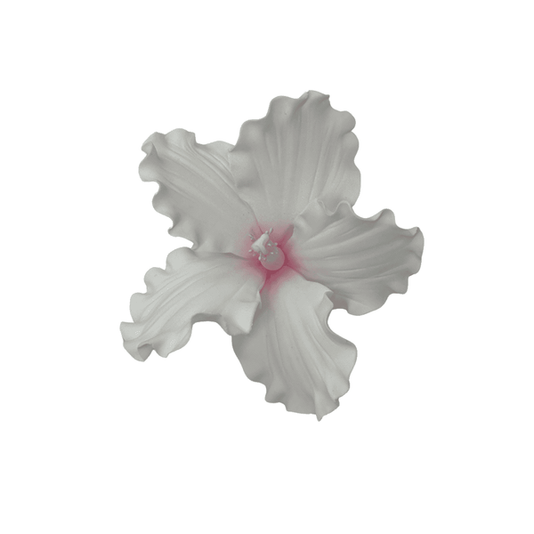 Edible Hibiscus flower | Large | Pink