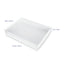 Box XL Biscuit Box 12.5 x 10 x 2 inch Clear Lid