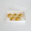 Box Biscuit Box 10 x 7 x 2 inch Clear Lid