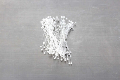 GYPSOPHILA WHITE STAMENS