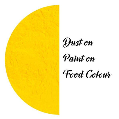 Rainbow Spectrum Sunflower