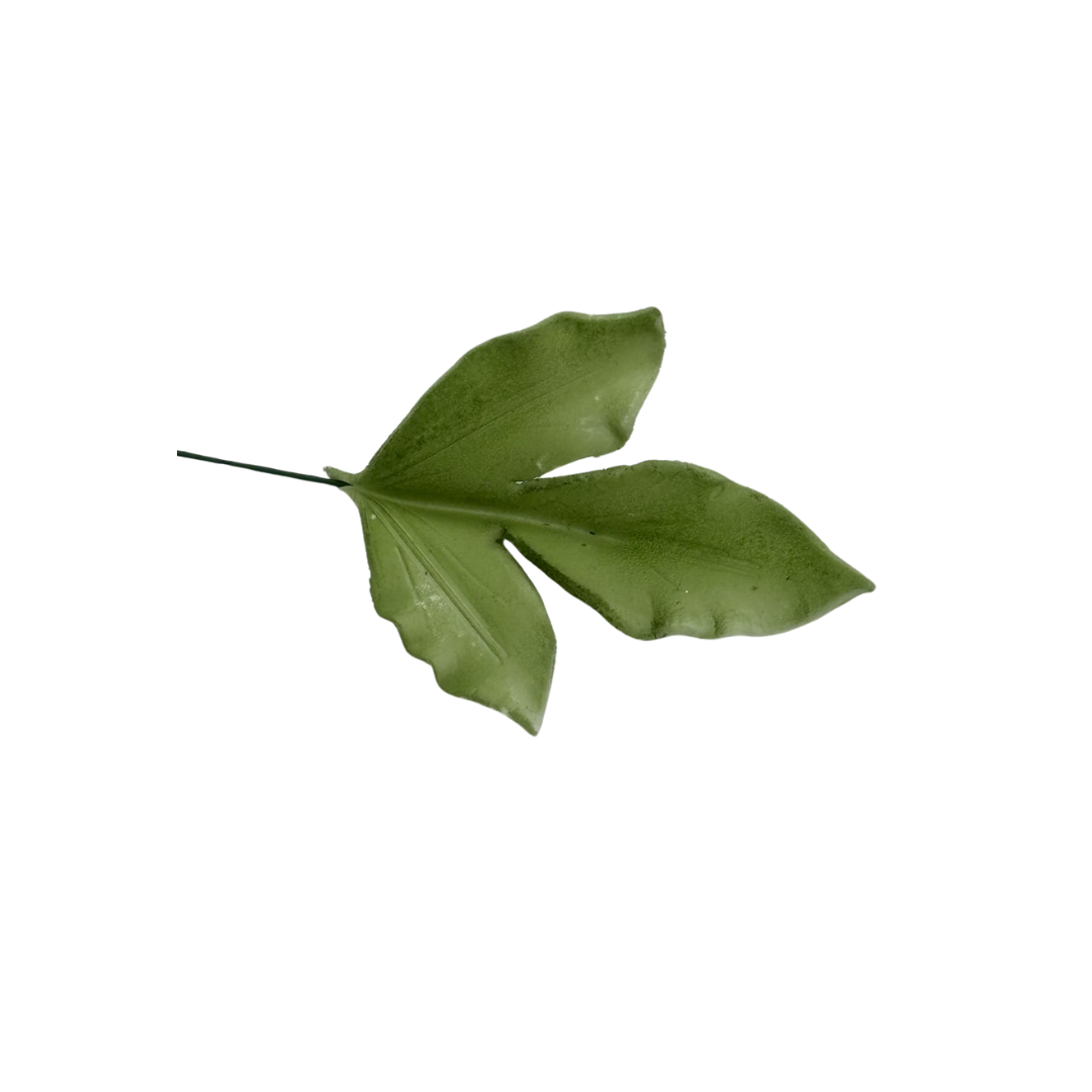 Edible Leaf | Peony | Single