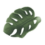 Edible Leaf Monstera Small Single