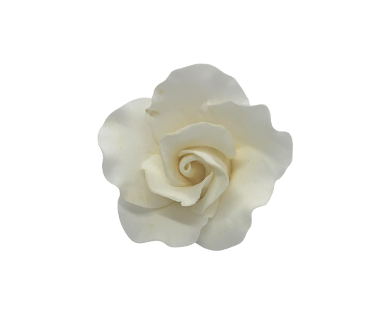 Edible Rose | Medium | White