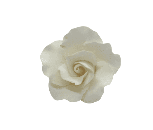 Edible Rose | Medium | Ivory