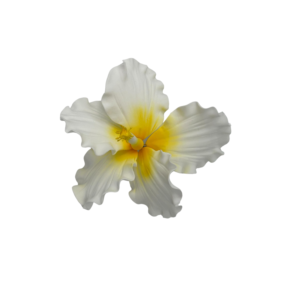 Edible Hibiscus flower | Medium | Yellow