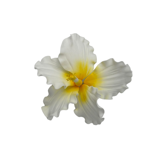 Edible Hibiscus flower | Medium | Yellow