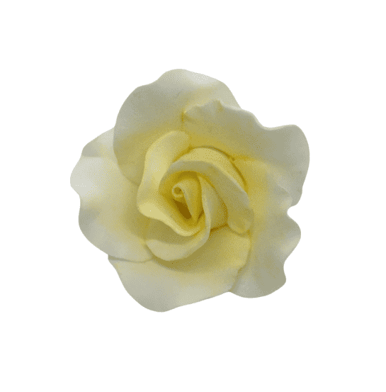 Edible Rose Medium Yellow